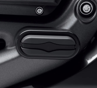 Sturzpads zu LiveWire One