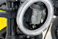 Elektromotorrad NIU XQi3 (45/75 km/h) GELB