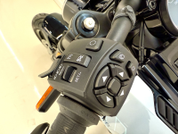 LiveWire S2 Alpinista - Glacier Silver