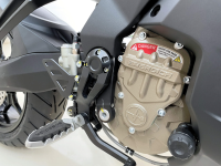 E-Motorrad Energica EXPERIA - FLAME WHITE